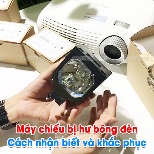 Máy chiếu bị hư bóng đèn