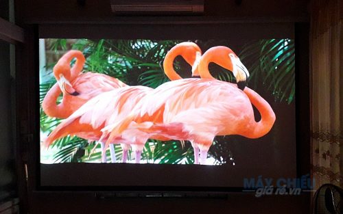 Máy chiếu gia đình Full HD 1080p trọn gói chỉ từ 18 triệu đồng