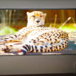 Lắp đặt ViewSonic PX727-4K và Màn chiếu khung